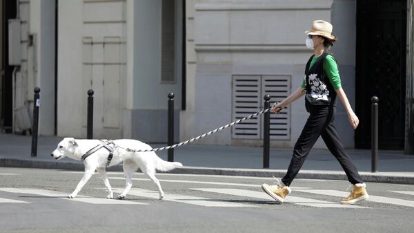 Женщина выгуливает собаку в Париже, Франция