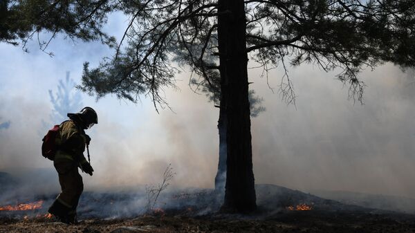 Сотрудник пожарной службы МЧС РФ во время тушения природного пожара 