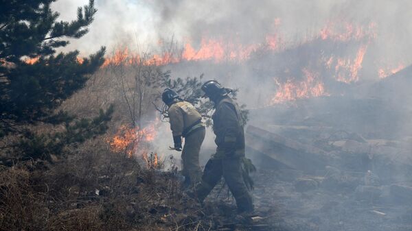 Сотрудники пожарной службы МЧС РФ во время тушения природного пожара в Забайкальском крае