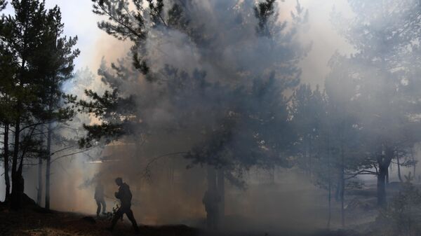 Сотрудники пожарной службы МЧС РФ во время тушения природного пожара