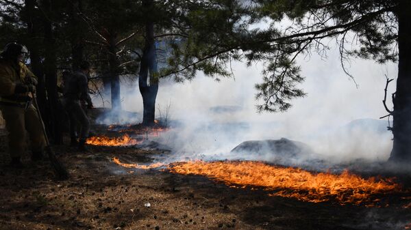Лесной пожар в Забайкальском крае