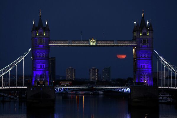 Цветочная Луна рядом с Тауэрским мостом в Лондоне, Великобритания