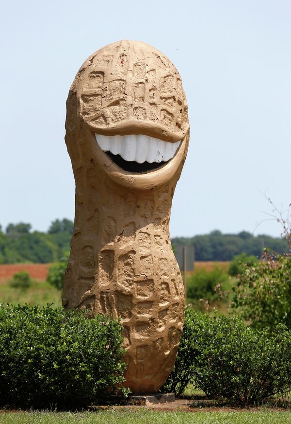 Скульптура арахиса в Плейнсе, штат Джорджия