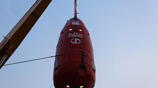 Автономный необитаемый подводный аппарат Витязь