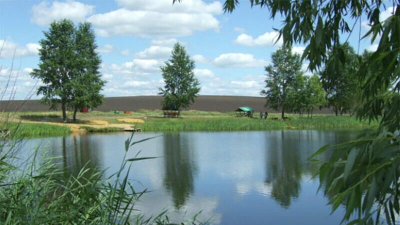 Село Тербуны в Липецкой области  - РИА Новости, 1920, 09.07.2021