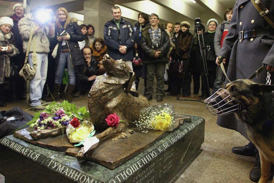 Открытие памятника Сочувствие в метро Менделеевская