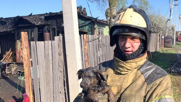 Сотрудник МЧС со щенком на руках, спасенным из пожара в Биробиджане