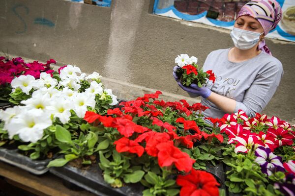 Продажа цветов на ярмарке выходного дня Покупай ставропольское в Кисловодске