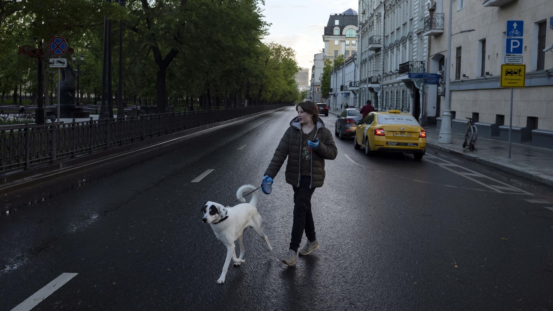 Девушка с собакой на одной из улиц в Москве - РИА Новости, 1920, 14.11.2020