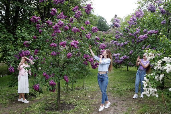 Девушки фотографируются с цветущей сиренью в Ботанический саду в Киеве, Украина