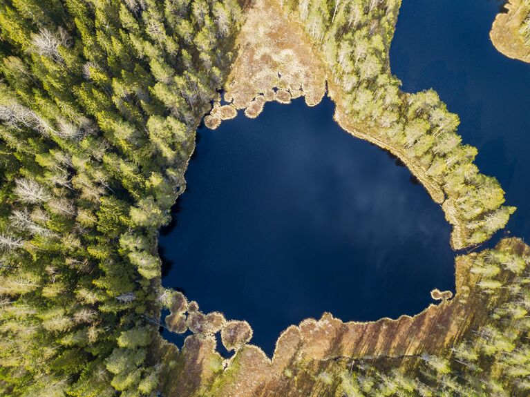 Лесные озёра в Карелии