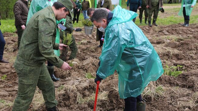 Участники акции Сады памяти сажают деревья вблизи памятника Героям-панфиловцам в Подмосковье