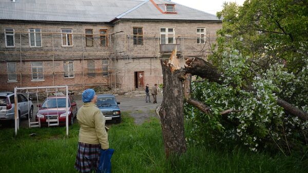 Сломанное дерево после ураганного ветра в Свердловской области