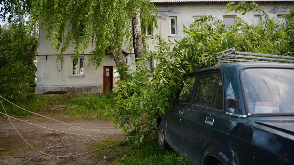 Поваленное дерево и порванная линия электропередачи в результате ураганного ветра в Свердловской области