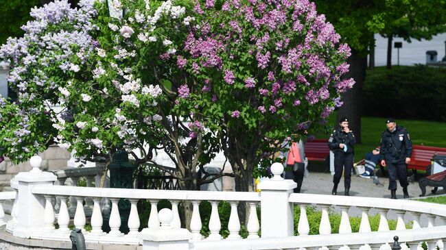 Сотрудники полиции в Александровском саду в Москве