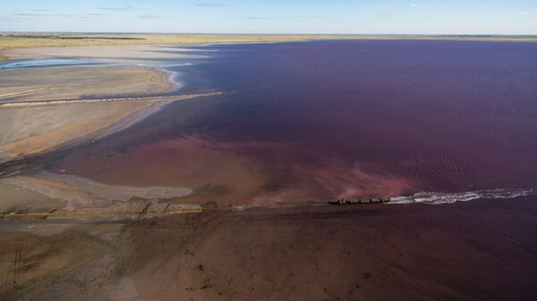 Железнодорожный состав возле соленого озера Бурлинское в Славгородском районе Алтайского края, где ведется промышленная добыча соли