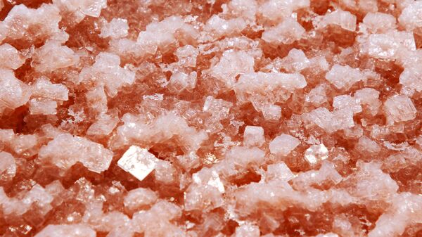 Розовая соль на озере Сасык-Сиваш под Евпаторией