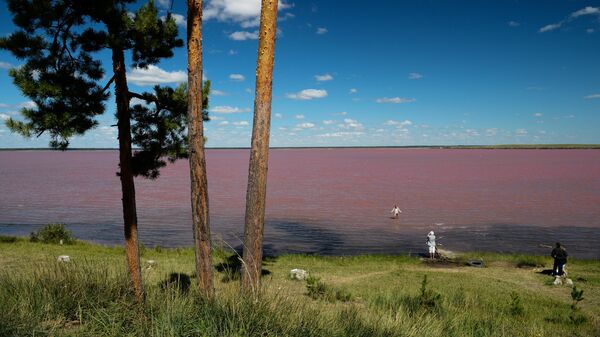 Отдыхающие на горько-соленом Малиновом озере в Михайловском районе Алтайского края