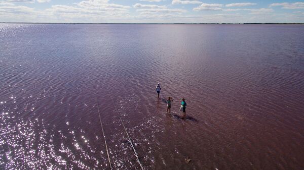 Отдыхающие на соленом озере Бурлинское в Славгородском районе Алтайского края