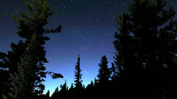 Звездное небо над тайгой в природном парке Ергаки в горах Западного Саяна в Красноярском крае