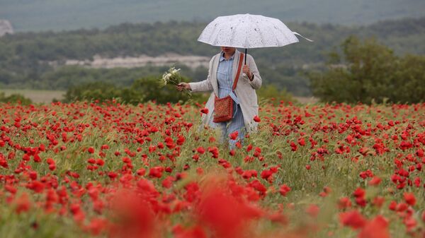 Девушка гуляет на маковом поле в Крыму