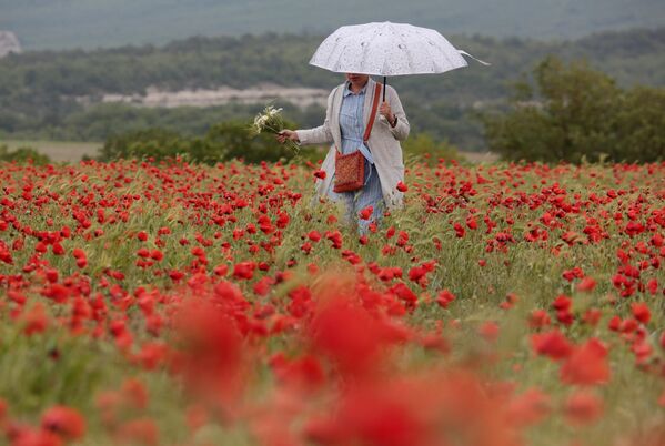 Девушка гуляет на маковом поле в Крыму