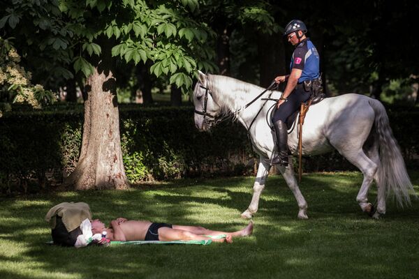 Сотрудник конной полиции и отдыхающий мужчина в парке дель Ретиро в Мадриде