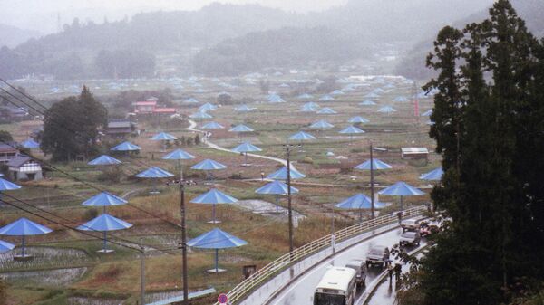 Зонтики в Японии - США (1984–91)