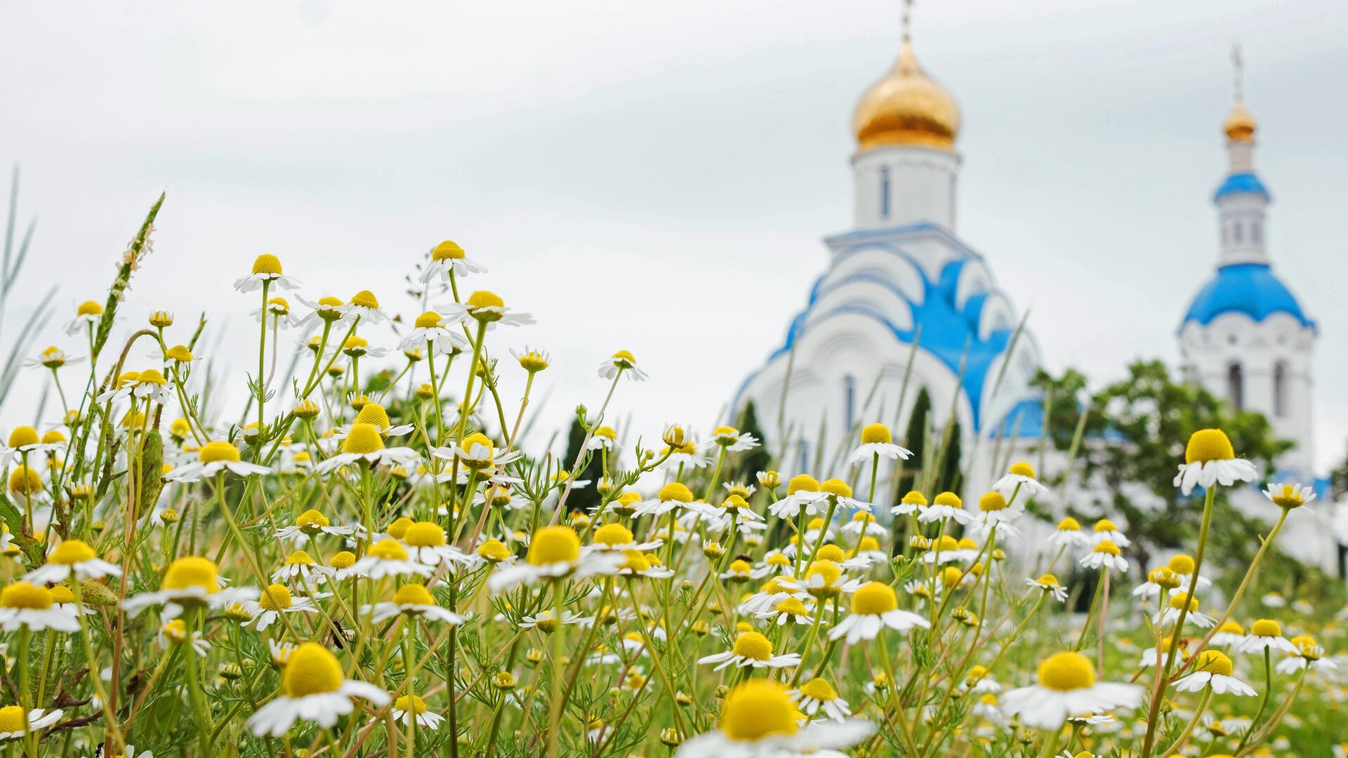 Церковь Вознесения Христова в хуторе Железный Краснодарского края - РИА Новости, 1920, 09.10.2024