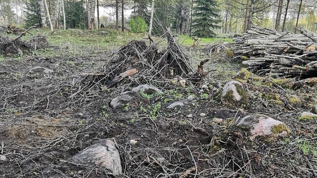 Повреждение в деревне Ольховка Приозерского района Ленинградской области в ходе производства земляных работ объектов археологического наследия