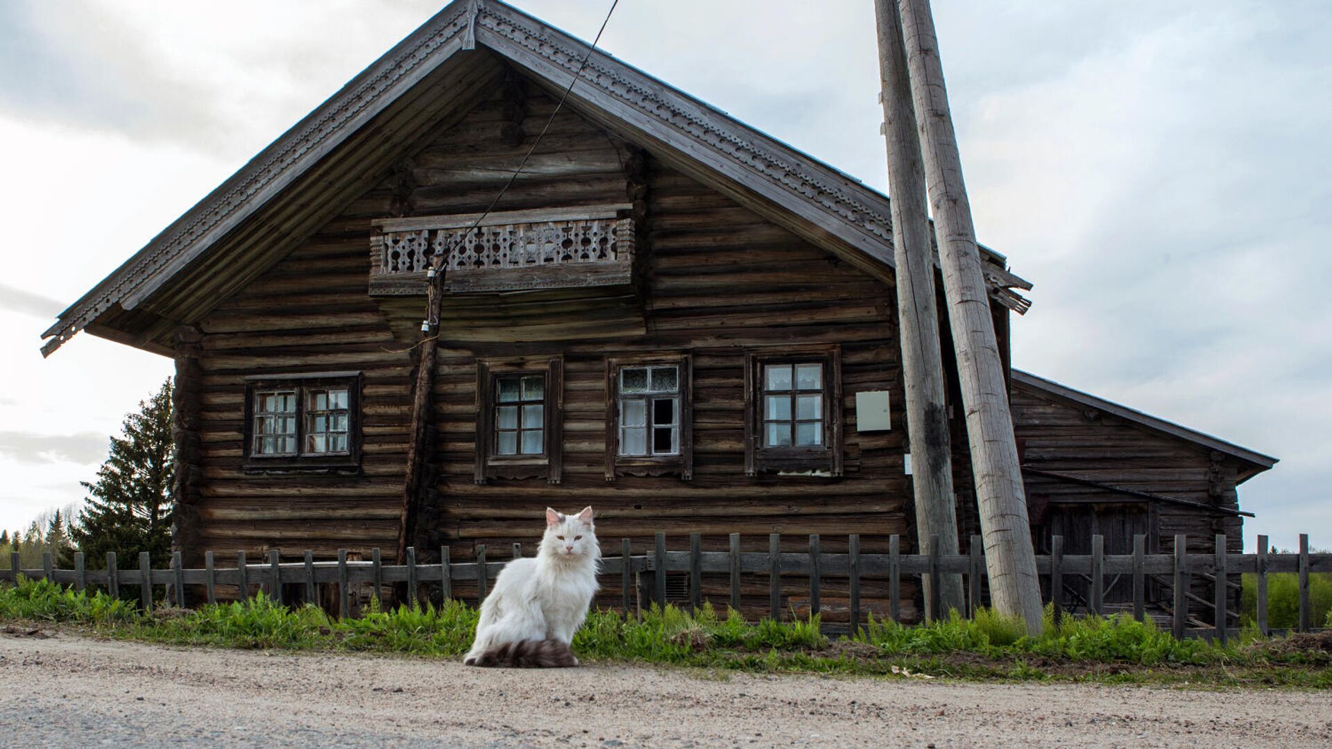 Деревянный дом в деревне - РИА Новости, 1920, 09.11.2020