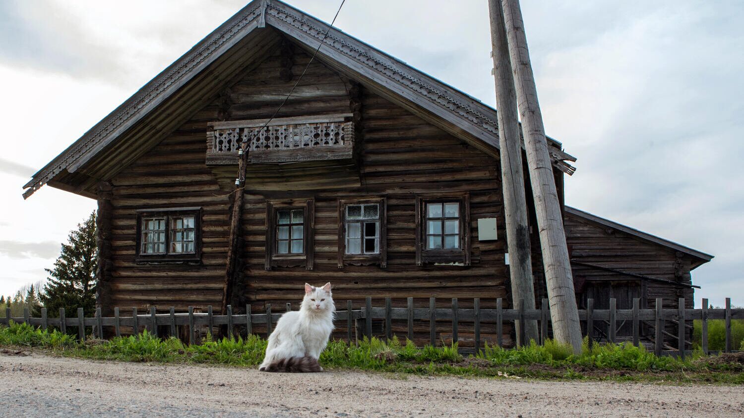 Деревянный дом в деревне - РИА Новости, 1920, 09.11.2020