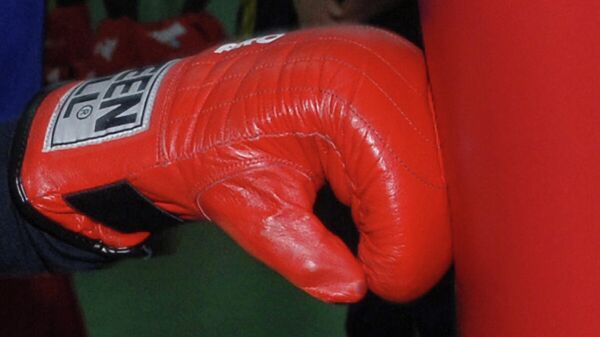 Боксерская перчатка. Архивное фото