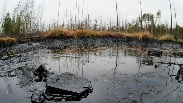 Последствия разлива нефти в Коми полностью ликвидируют до начала ноября
