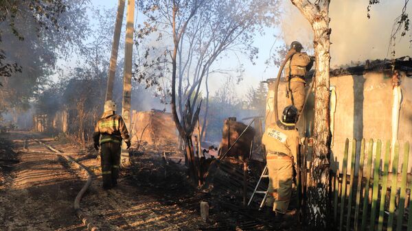 Сотрудники МЧС во время тушения пожара в садовом товариществе Дружба в Кургане