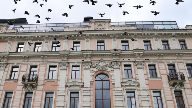 Стая голубей у здания на Тургеневской площади в Москве