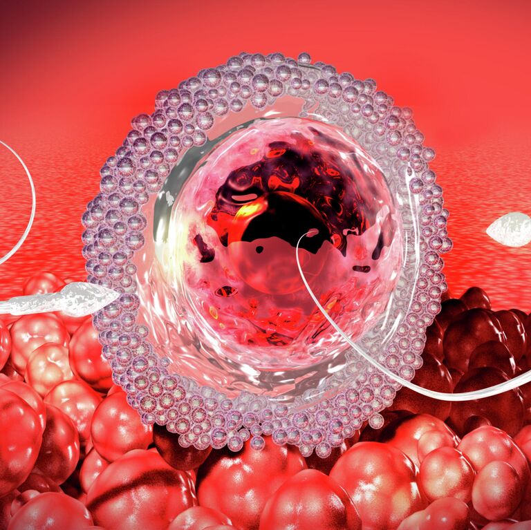 Жалаңаш атақты тележүргізушілер Жас жігіттермен порновидео көру