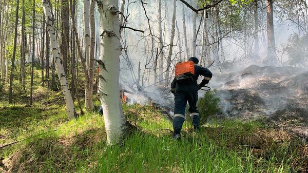  Сотрудники Камчатского спасцентра отправились в Быстринский район на борьбу с лесными пожарами