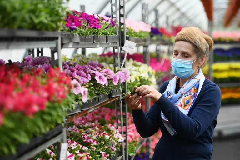 Высадка цветов в Москве Высадка цветов в Москве