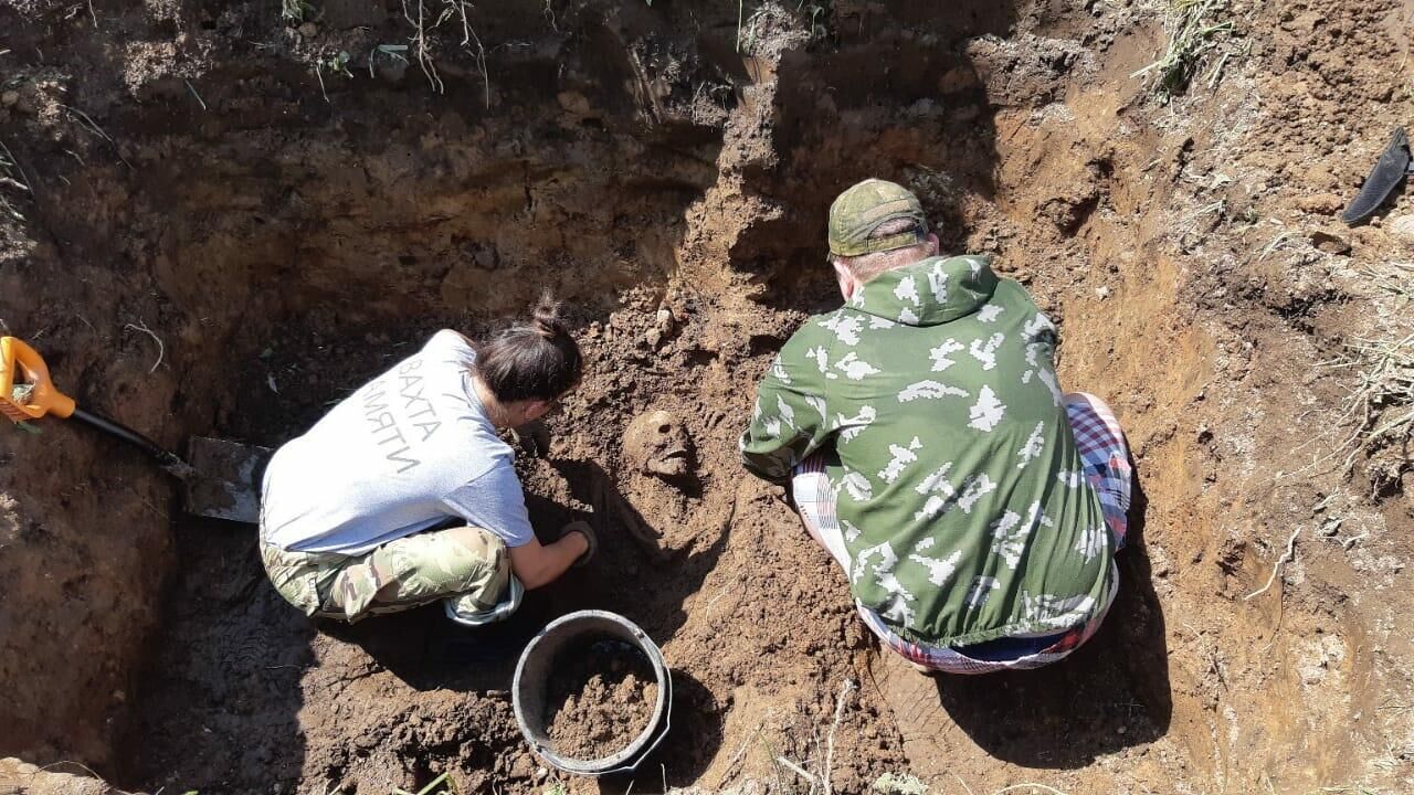 Участники поискового движения во время раскопок захоронения мирных жителей близ деревни Моглино Псковской области - РИА Новости, 1920, 21.06.2021