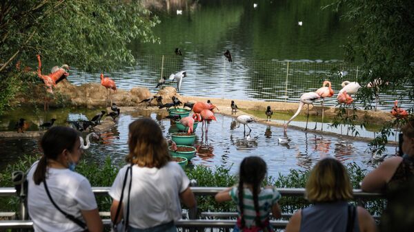 Посетители у вольера с птицами в Московском зоопарке