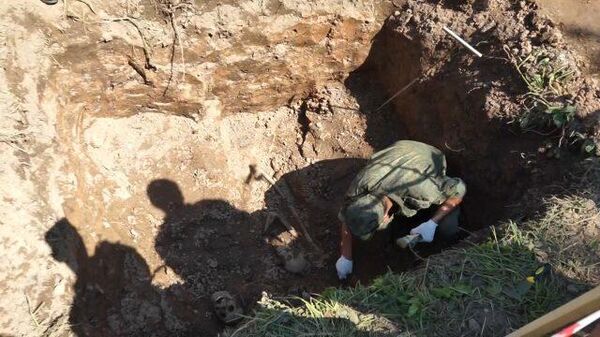 Кадры раскопок массового захоронения жертв концлагеря Моглино в Псковской области