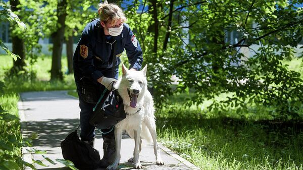 Спасатель-кинолог Юлия Тихонова вместе со своим служебным псом Даней
