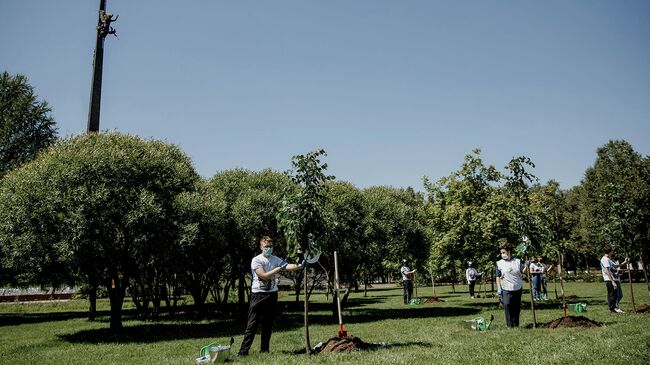 Акция Сад памяти в Москве