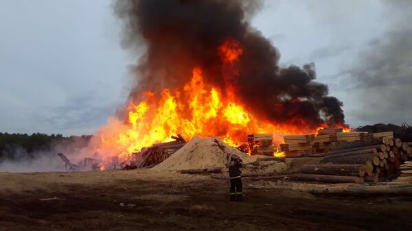 Пожар в Амурской области