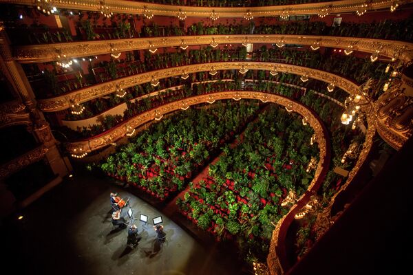 Концерт для 2 292 цветов на сцене Оперного театра Лисеу в Барселоне