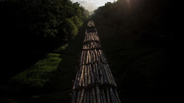 Перевозка лесоматериалов на Украине