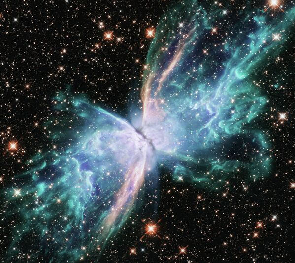 Биполярная планетарная туманность NGC 6302 (Бабочка)