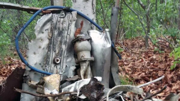 Фрагменты самолета Ил-28Р, найденные активистами поискового объединения Авиапоиск в Ольгинском районе Приморья