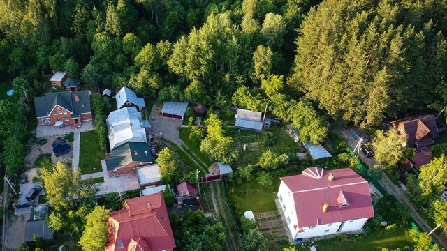 Дачников предупредили о "штрафе за деревья" - РИА Новости, 28.07.2021
